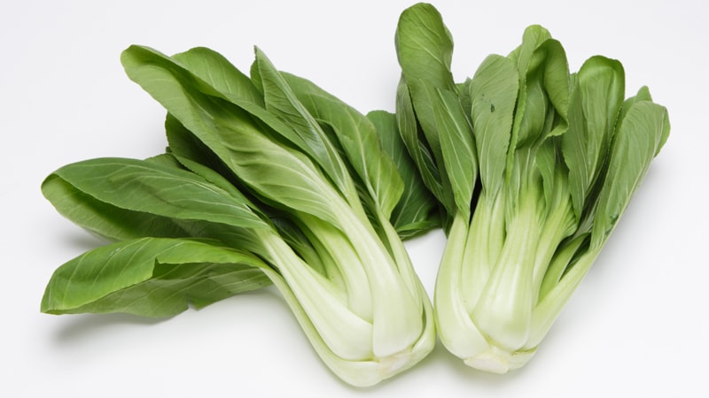 良いチンゲンサイイメージ