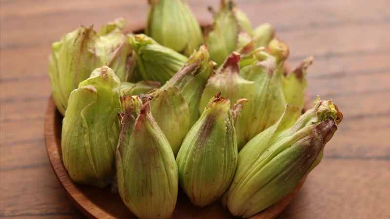 ふきのとうイメージ