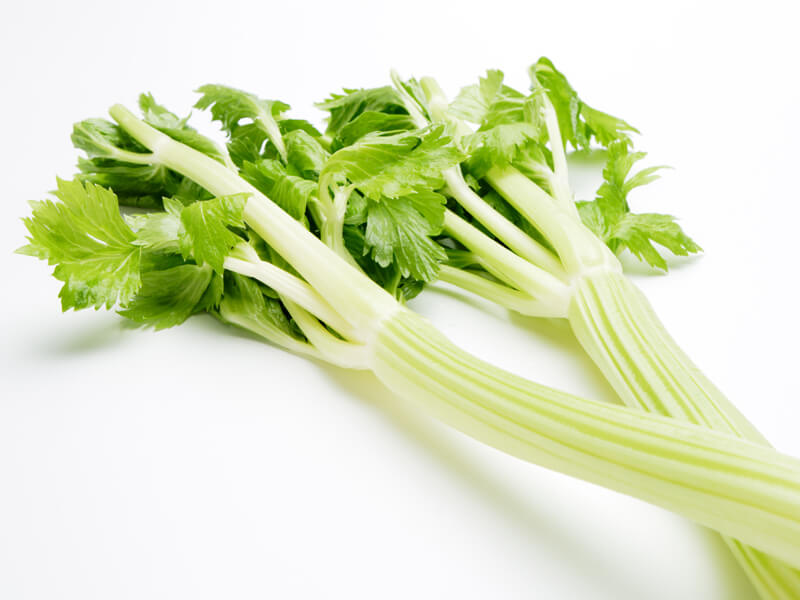 セロリイメージ