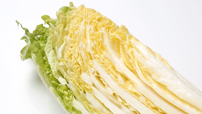 新鮮な野菜イメージ