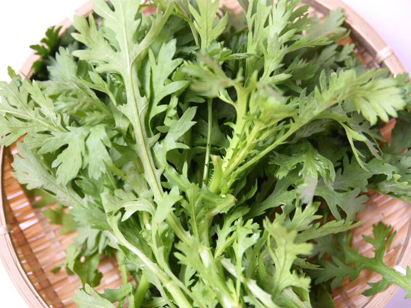 シュンギクイメージ