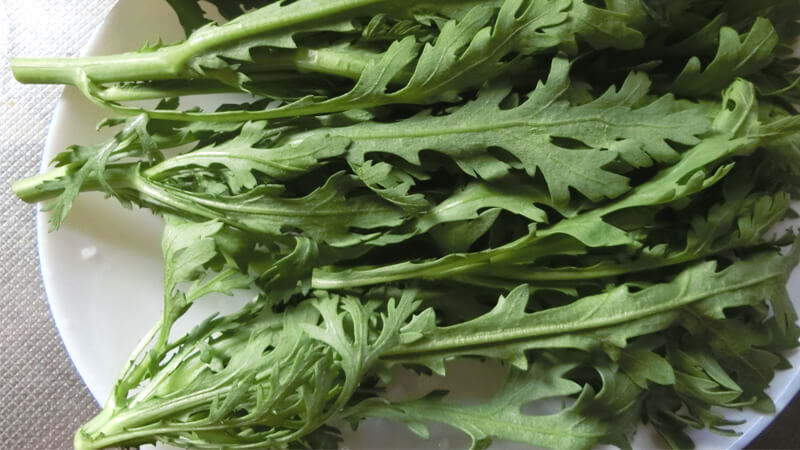 良いシュンギクイメージ