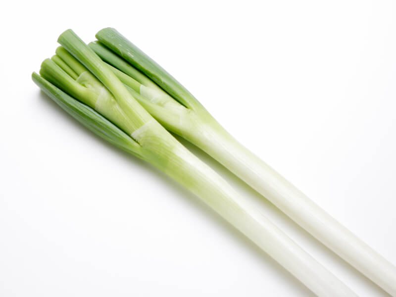 ナガネギイメージ