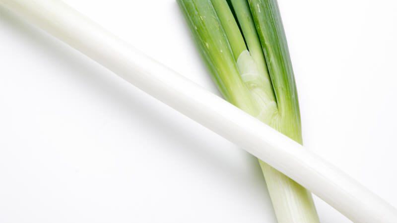 良いナガネギイメージ