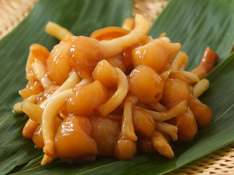 ナメコイメージ