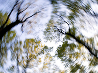 貧血の改善方法とは？メカニズムから食事のポイントまで