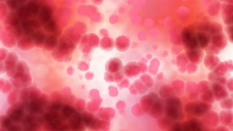 赤血球イメージ