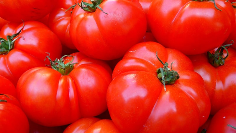 トマトイメージ