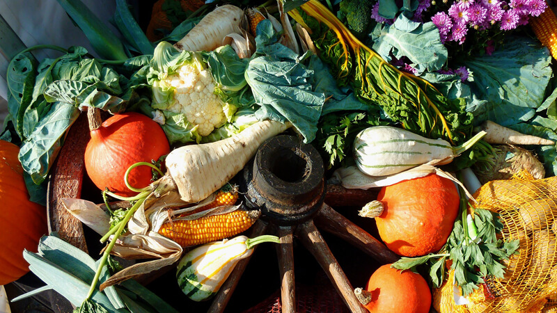 卸売市場イメージ