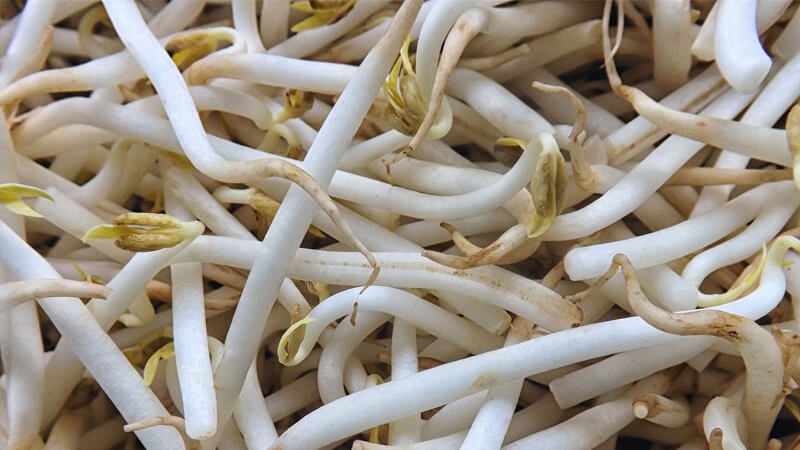 モヤシイメージ