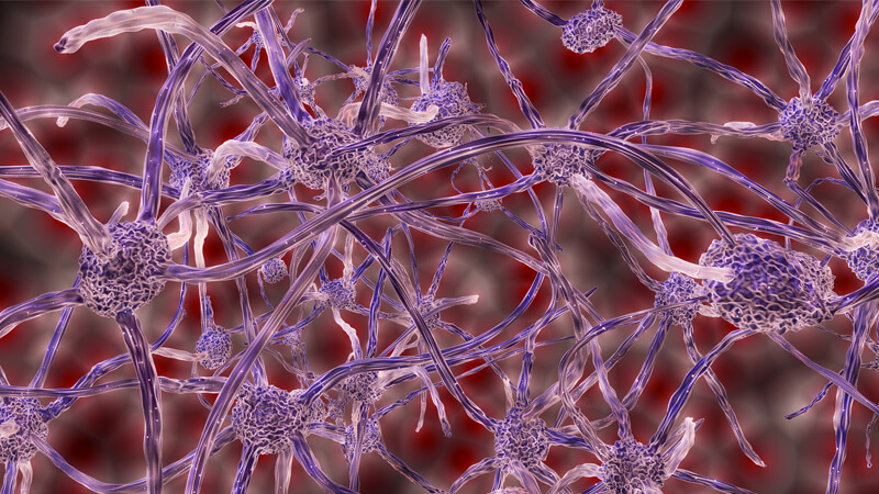 自律神経の働きイメージ