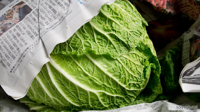 ハクサイを新聞で巻いたイメージ