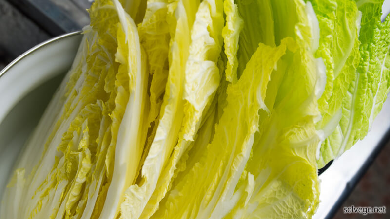 chinese-cabbage-and-pig-plate-stack-pan03.jpg