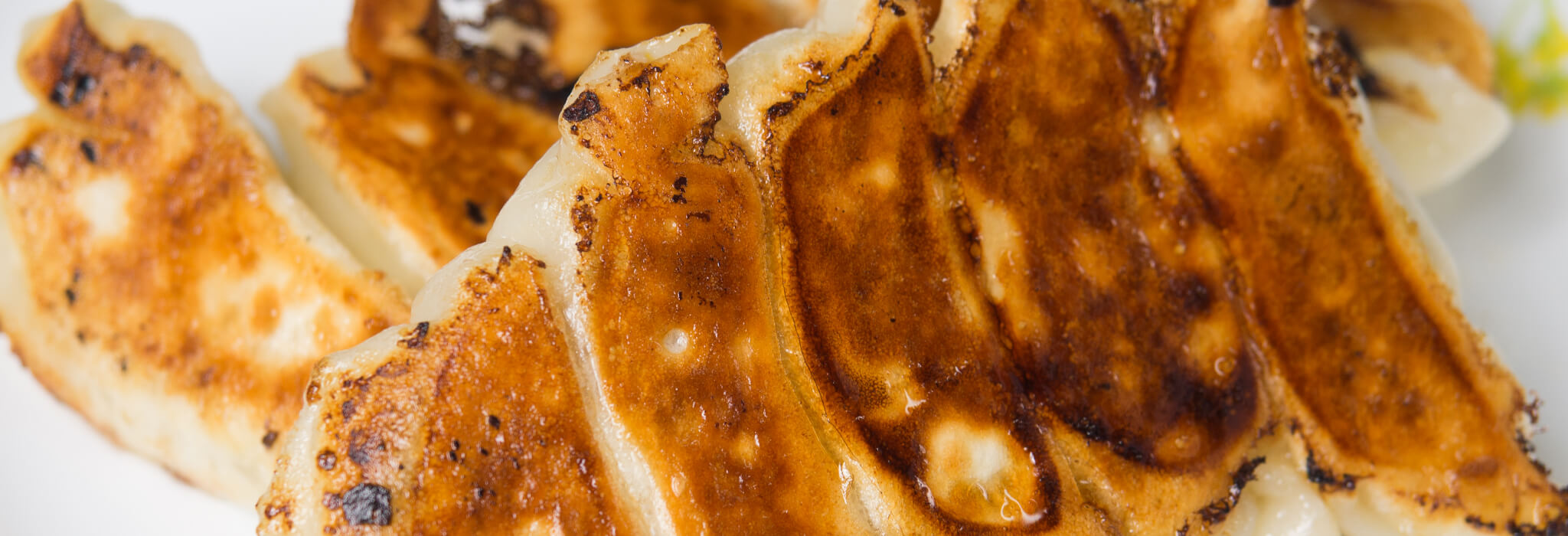 ハクサイの餃子 / 解決野菜のお助け野菜レシピ