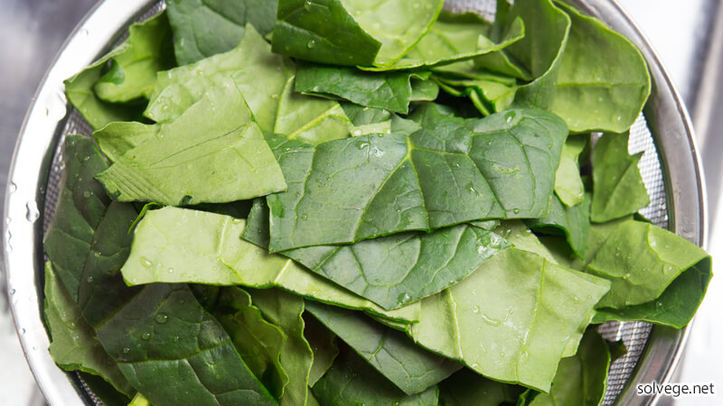 ホウレンソウ下準備イメージ